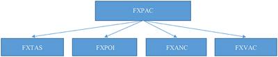 Fragile X Premutation Associated Conditions (FXPAC)